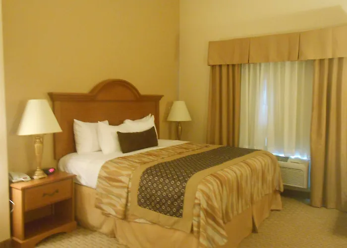 Best Western Plus New Caney Inn & Suites